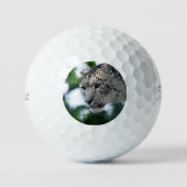 Leopard 003 golfball (Vorderseite)
