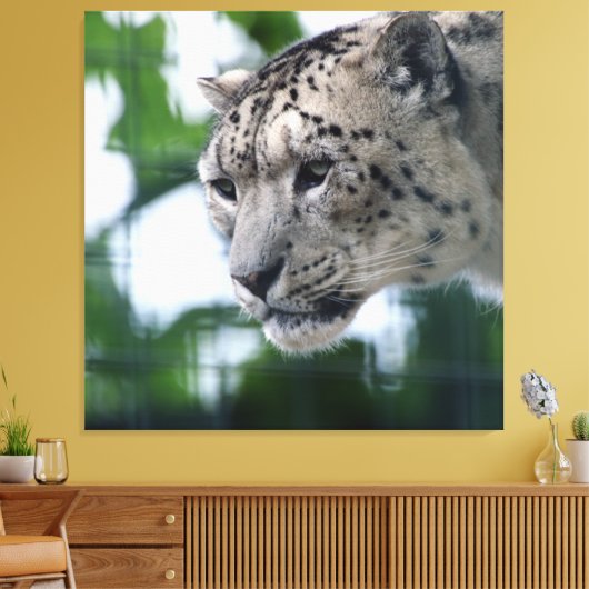 Leopard 003 leinwanddruck (Insitu (Wohnzimmer))