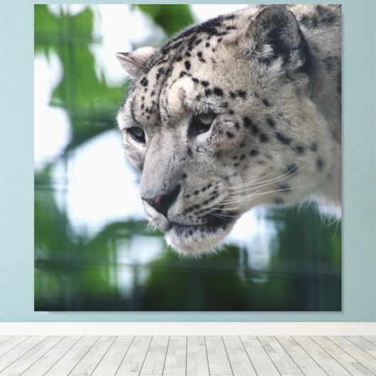 Leopard 003 leinwanddruck (Insitu (Holzboden))