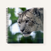 Leopard 003 notizblock (Vorderseite)