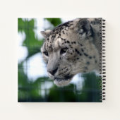 Leopard 003 notizblock (Rückseite)