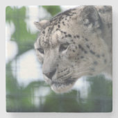 Leopard 003 steinuntersetzer (Vorderseite)