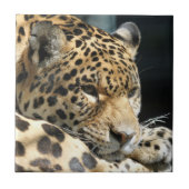 Leopard 004 fliese (Vorderseite)