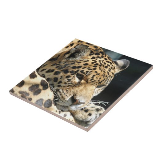 Leopard 004 fliese (Seite)