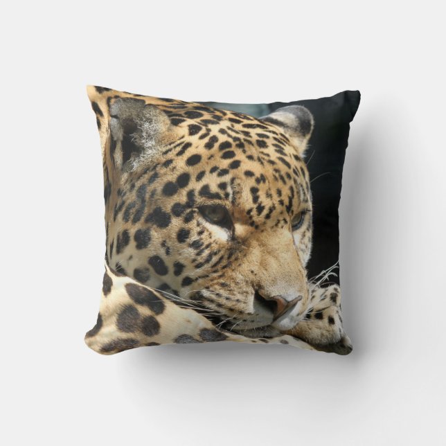 Leopard 004 kissen (Vorderseite)