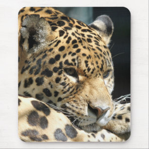 Leopard 004 mousepad