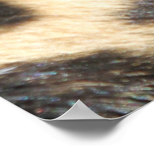 Leopard 004 poster (Ecke)