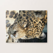 Leopard 004 puzzle (Horizontal)
