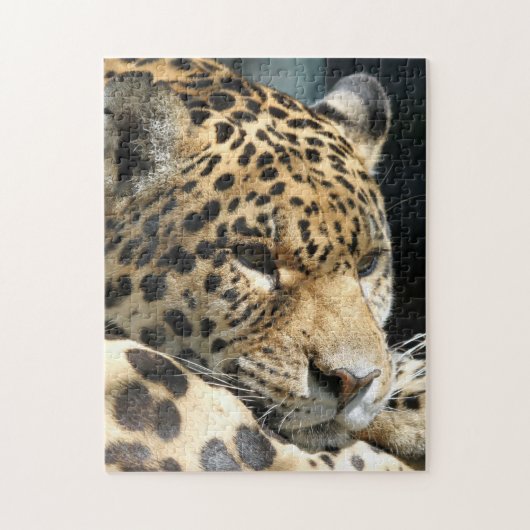 Leopard 004 puzzle (Vertikal)