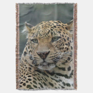 Leopard 006 decke