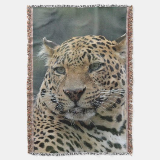 Leopard 006 decke (Vorderseite Vertikal)