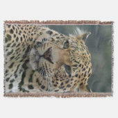 Leopard 006 decke (Vorderseite)