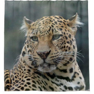 Leopard 006 duschvorhang