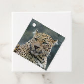 Leopard 006 geschenkanhänger (Beispiel)