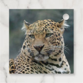 Leopard 006 geschenkanhänger (Rückseite)