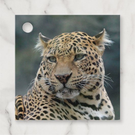 Leopard 006 geschenkanhänger (Vorderseite)