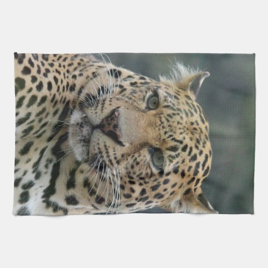 Leopard 006 geschirrtuch (Horizontal)