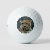 Leopard 006 golfball (Vorderseite)