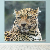 Leopard 006 leinwanddruck (Insitu (Holzboden))