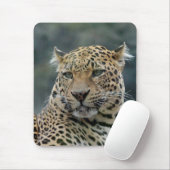 Leopard 006 mousepad (Mit Mouse)