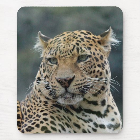 Leopard 006 mousepad (Vorne)