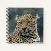 Leopard 006 notizblock (Vorderseite)