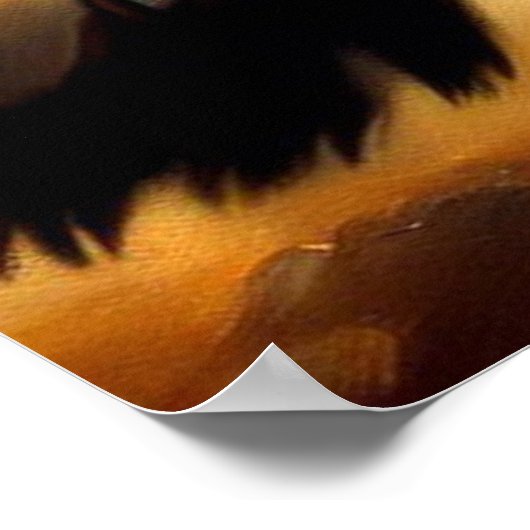 Leopard (11) Wildkatze Poster (Ecke)