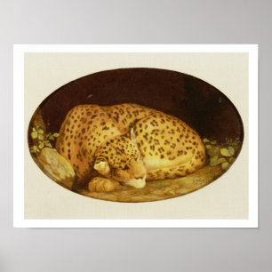 Leopard, 1777 (Emaille auf Keks) Poster