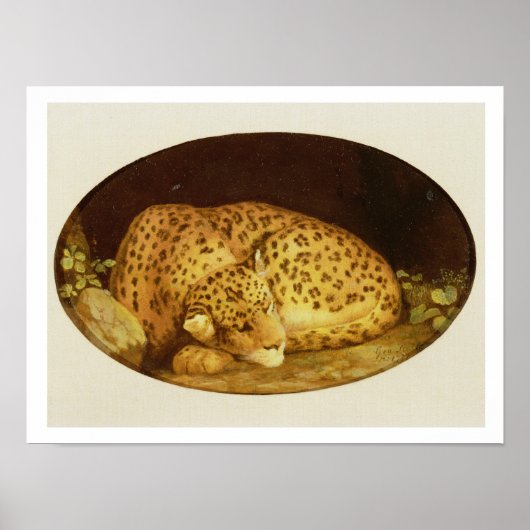 Leopard, 1777 (Emaille auf Keks) Poster (Vorne)