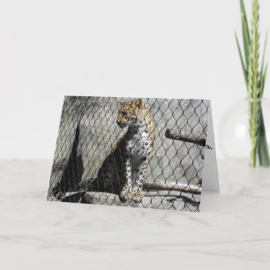 "Leopard #1" Geburtstagskarte Karte