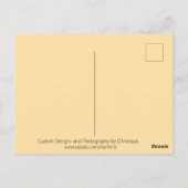 LEOPARD #1 Postkarte (Rückseite)