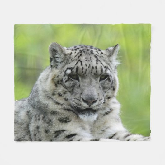 Leopard_2015_0310 Fleecedecke (Vorderseite (Horizontal))