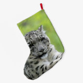 Leopard_2015_0310 Großer Weihnachtsstrumpf (Rückseite (Hängend))