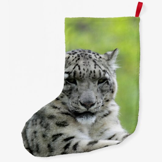 Leopard_2015_0310 Großer Weihnachtsstrumpf (Rückseite)