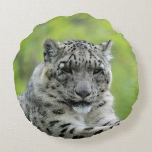 Leopard_2015_0310 Rundes Kissen