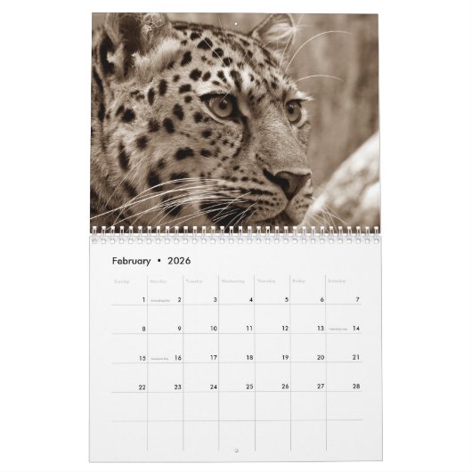 Leopard 2026 kalender (Feb 2026)