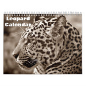 Leopard 2026 kalender (Titelbild)