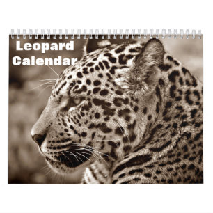 Leopard 2026 kalender