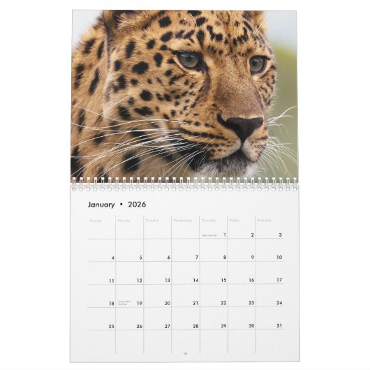 Leopard 2026 kalender (Jan 2026)