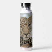 Leopard 22 oz. Edelstahl-Wasserflasche Trinkflasche (Links)