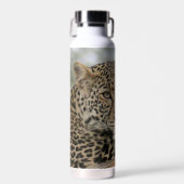 Leopard 22 oz. Edelstahl-Wasserflasche Trinkflasche (Vorne)