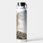 Leopard 22 oz. Edelstahl-Wasserflasche Trinkflasche (Rückseite)