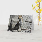 "Leopard #2" Get Well Card Karte (Gelbe Blume)