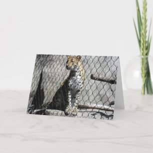 "Leopard #2" Get Well Card Karte