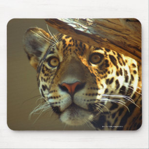 Leopard 2 mousepad