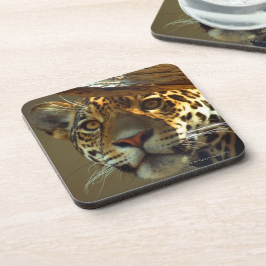 Leopard 2 untersetzer (Linke Seite)