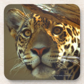 Leopard 2 untersetzer (Vorderseite)