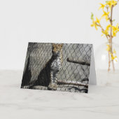 "Leopard #3" Get Well Card Karte (Gelbe Blume)