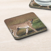 Leopard 3 getränkeuntersetzer (Linke Seite)