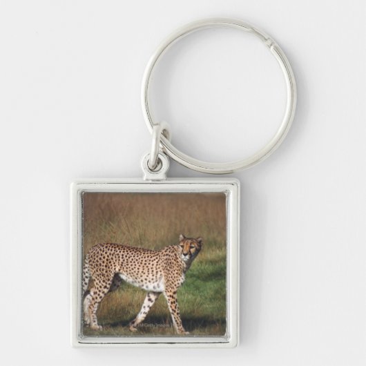 Leopard 3 schlüsselanhänger (Vorne)